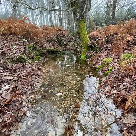 Rural El Pingon 酒店