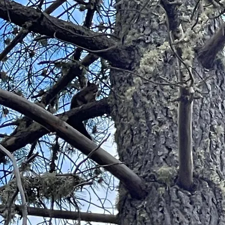 Rural El Pingon 酒店 Manzanal de Arriba