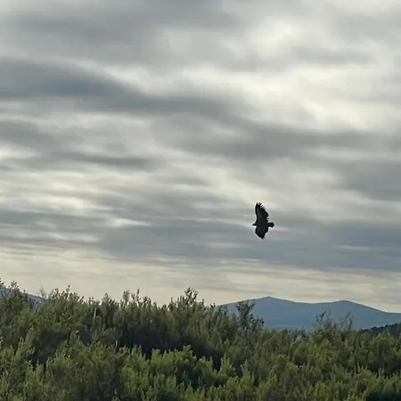 Hotel Rural El Pingon Manzanal de Arriba