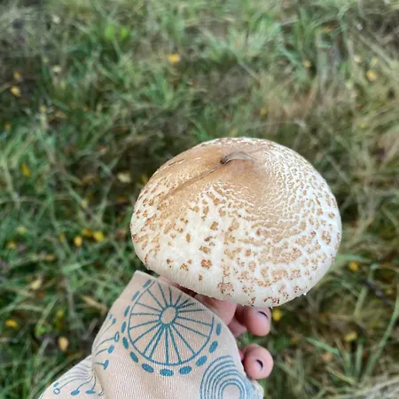 Rural El Pingon * Manzanal de Arriba