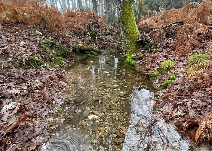 Rural El Pingón Hotel