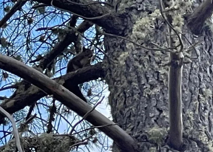 Rural El Pingón Hotel Manzanal de Arriba