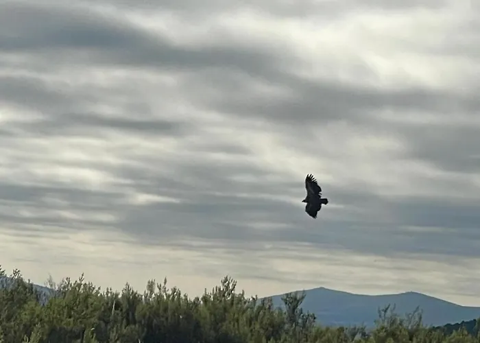 Hotel Rural El Pingón Manzanal de Arriba